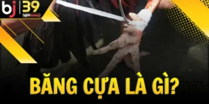 bang-cua-la-gi