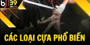 cac-loai-cua-pho-bien-trong-da-ga