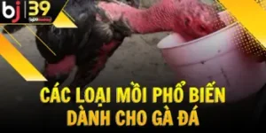 cac-loai-moi-pho-bien-danh-cho-ga-da