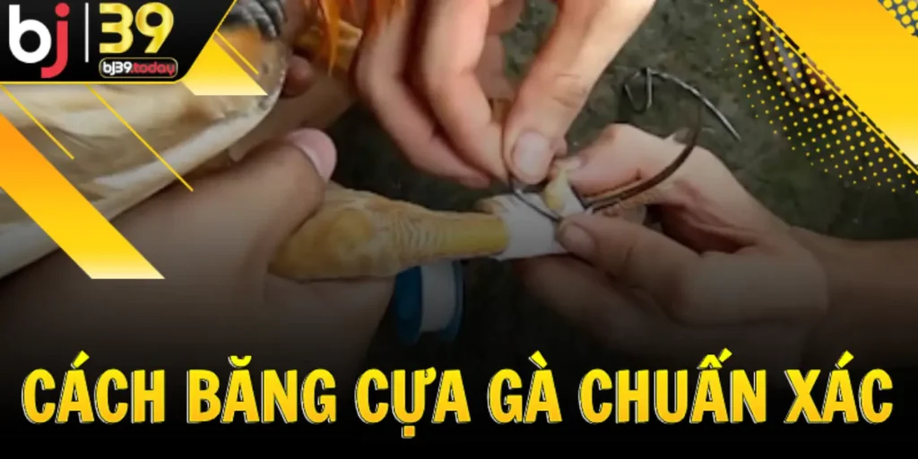 cach-bang-cua-ga-chuan-xac-bj39