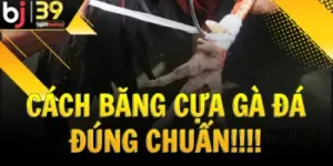 cach-bang-cua-ga-da-dung-chuan