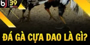 da-ga-cua-dao-la-gi-bj39