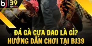 da-ga-cua-dao-la-gi-huong-dan-choi-tai-bj39