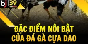 dac-diem-noi-bat-cua-da-ga-cua-dao