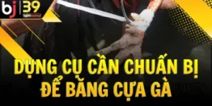 dung-cu-can-chuan-bi-de-bang-cua-ga