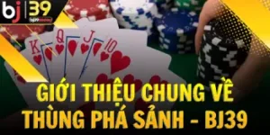 gioi-thieu-chung-ve-thung-pha-sanh-bj39