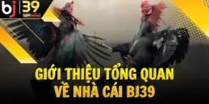gioi-thieu-tong-quan-ve-nha-cai-bj39-digmaan