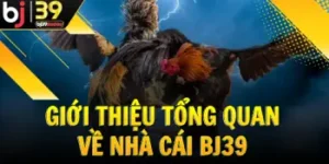 gioi-thieu-tong-quan-ve-nha-cai-da-ga-bj39