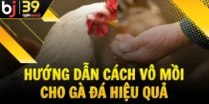 huong-dan-cach-vo-moi-cho-ga-da-hieu-qua