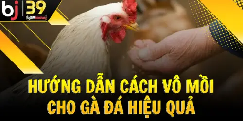 huong-dan-cach-vo-moi-cho-ga-da-hieu-qua