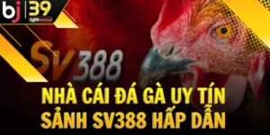 nha-cai-da-ga-uy-tin-sanh-SV388-hap-dan