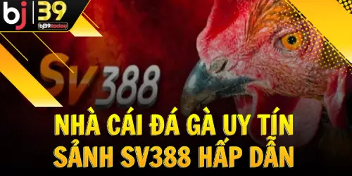 nha-cai-da-ga-uy-tin-sanh-SV388-hap-dan