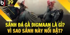 sanh-da-ga-digmaan-la-gi-vi-sao-sanh-nay-noi-bat