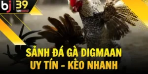 sanh-da-ga-digmaan-uy-tin-keo-nhanh