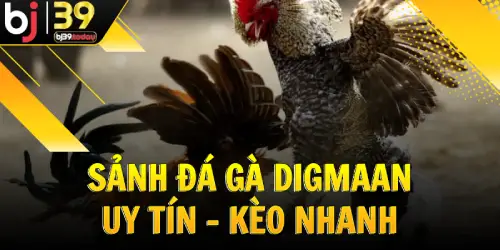 sanh-da-ga-digmaan-uy-tin-keo-nhanh