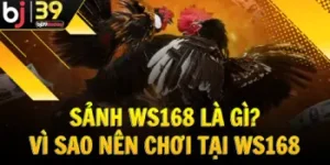 sanh-da-ga-ws168-la-gi-tai-sao-nen-choi-tai-ws168