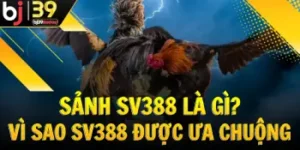 sanh-sv388-la-gi-tai-sao-sanh-sv388-duoc-ua-chuong
