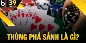 thung-pha-sanh-la-gi