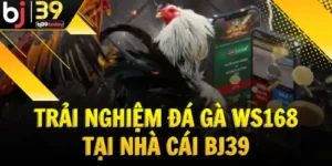trai-nghiem-daga-dinh-cao-tai-sanh-ws168-nha-cai-bj39