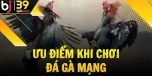 uu-diem-khi-choi-da-ga-mang-tai-nha-cai-bj39