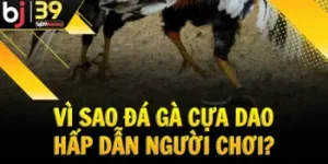 vi-sao-da-ga-cua-dao-hap-dan-nguoi-choi